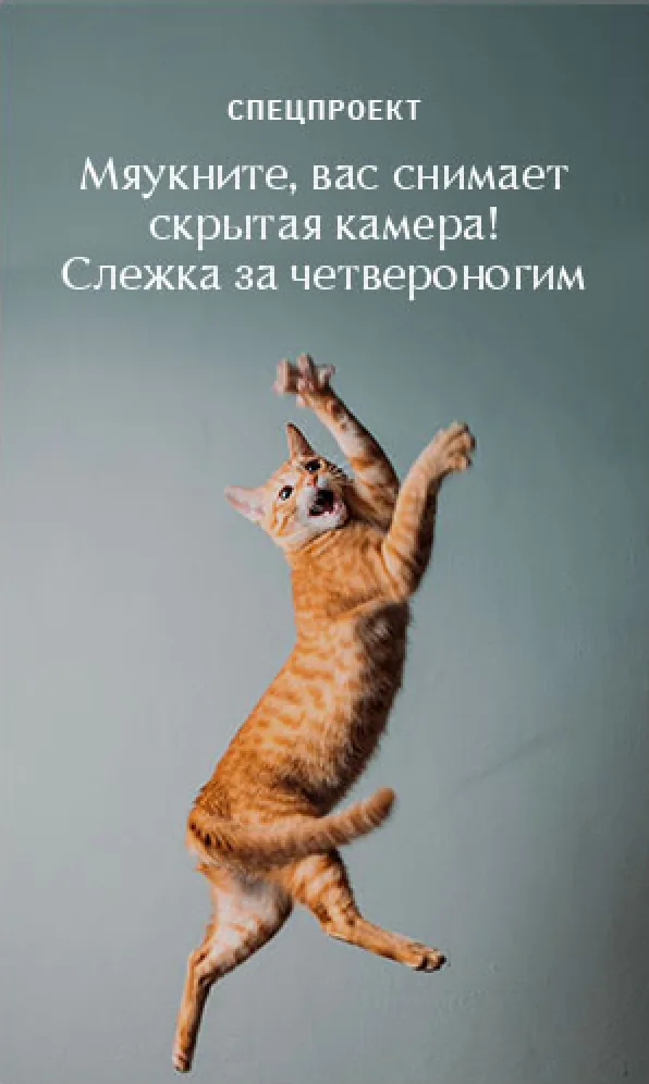 Баннер 03